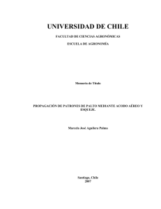 Repositorio Académico - Universidad de Chile