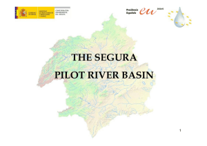 THE SEGURA PILOT RIVER BASIN