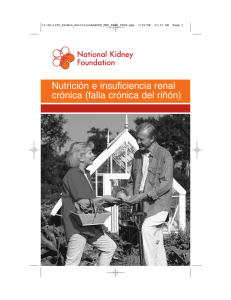 Nutrición e insuficiencia renal crónica