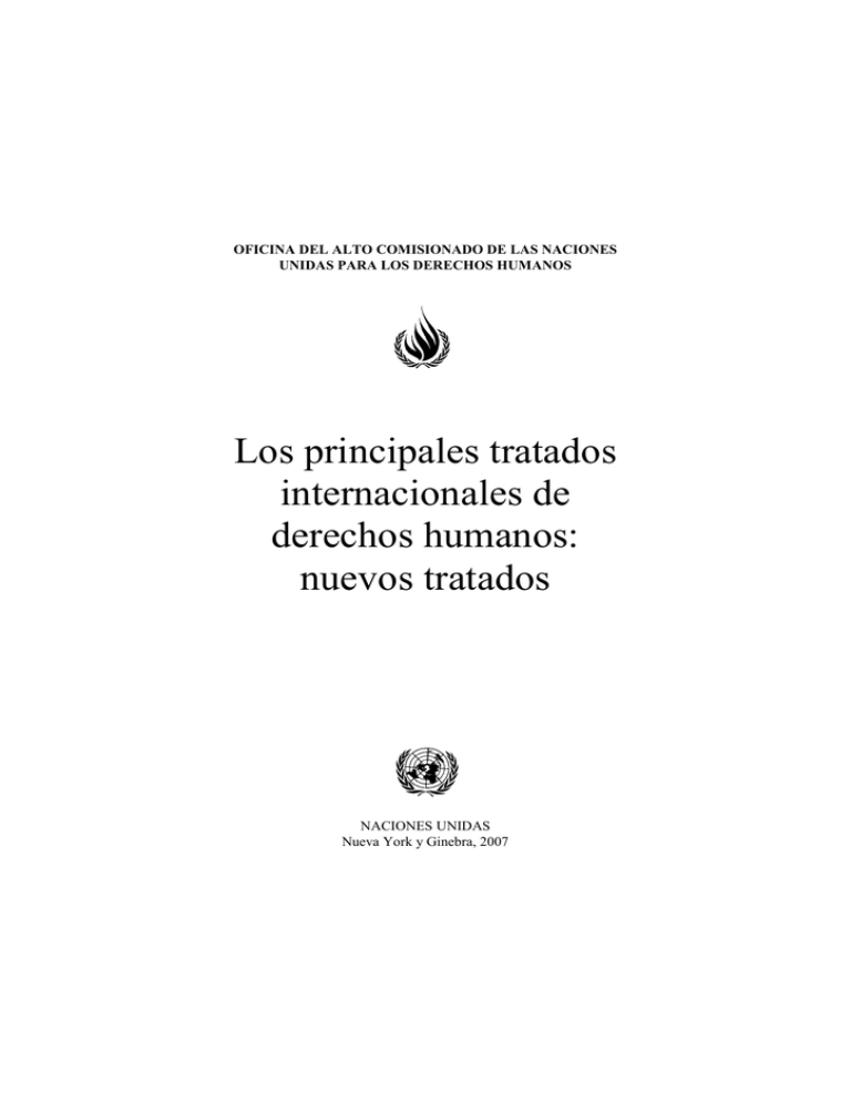 Los Principales Tratados Internacionales De Derechos Humanos 2554