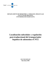 Localización subcelular y regulación post