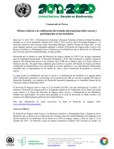 México exhorta a la ratificación del tratado internacional
