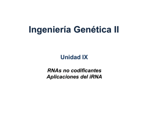 generación de siRNAs - Ingeniería Genética 2
