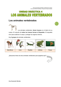 Los animales vertebrados