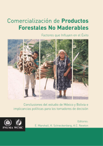 Comercialización de Productos Forestales No Maderables -