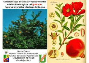 Características botánicas y requerimientos edafo
