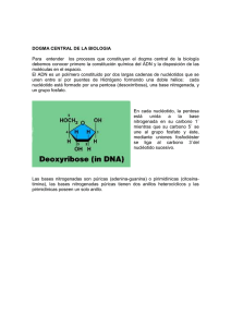 DOGMA CENTRAL DE LA BIOLOGIA para web