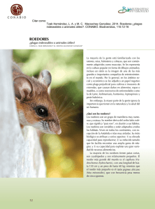 roedores - Universidad Veracruzana