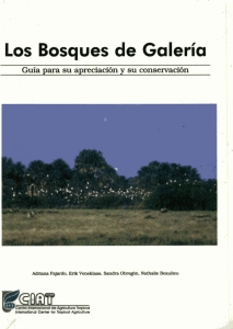 Los Bosques de Galería