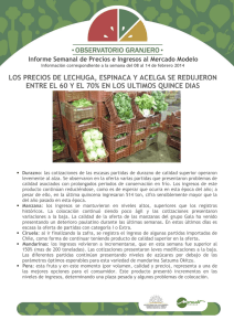 Informe Nro. 11 - Mercado Modelo