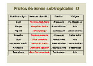 Frutos de zonas subtropicales