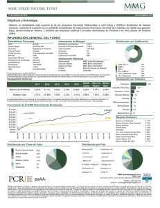 MMG FIXED INCOME FUND