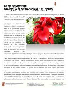 22 de noviembre Día de la Flor Nacional " El Ceibo"
