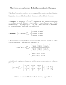 Matrices con entradas definidas mediante fórmulas