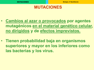 Mutaciones Génicas (Presentación)
