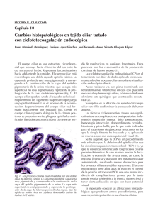 Cambios histopatológicos en tejido ciliar tratado con