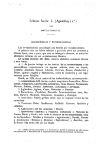 Page 1 Schinus Molle L. (Aguaribay) (") MATÍAS GONZÁLEZ