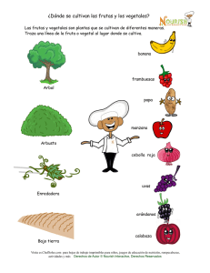 ¿Dónde se cultivan las frutas y los vegetales?