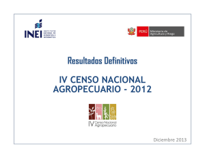 Resultados Definitivos IV CENSO NACIONAL AGROPECUARIO