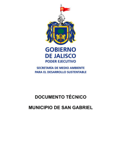 documento técnico municipio de san gabriel