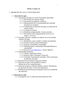 TEMA 11 (clase 12) I. ABSORCIÓN DE AGUA Y