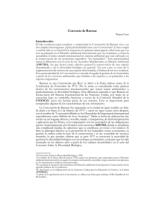 31 Cruz Convenio Ramsar - Programa de las Naciones Unidas