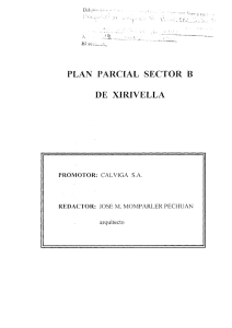 PLAN PARCIAL SECTOR B DE XIRIVELLA