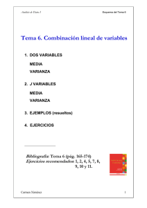 Tema 6. Combinación lineal de variables