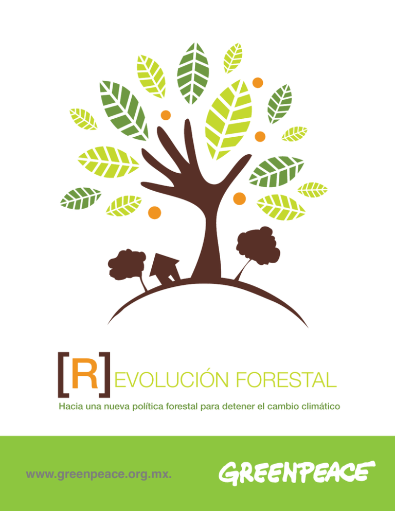 Evolución Forestal. Hacia Una Nueva Política Forestal Para Detener El