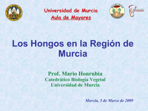 Los Hongos en la Región de Murcia