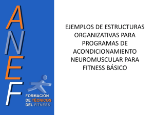 Ejemplos de organizaciones - metodológicas Fitness Muscular Básico
