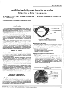 Análisis cinesiológico de la acción muscular del periné y