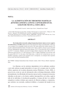 NOTA: LA ALIMENTACIÓN DE TIBURONES MARTILLO JOVENES