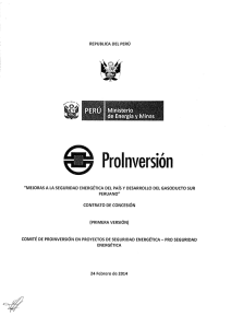 PRIMERA VERSIóN - Agencia de promoción de la inversión privada