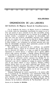 ORGANIZACION DE LAS LABORES