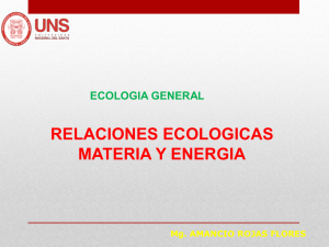 RELACIONES ECOLOGICAS MATERIA Y ENERGIA
