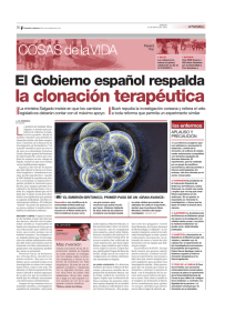 El Gobierno español respalda la clonación terapéutica