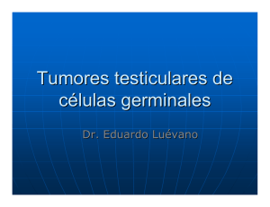 Tumores testiculares de células germinales