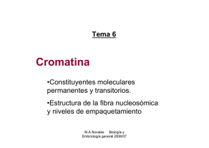Tema 6 Cromatina