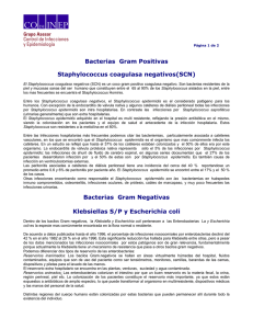 Bacterias Gram Positivas Staphylococcus coagulasa negativos(SCN