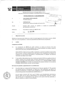 INFORME TÉCNICO N29.,(ïrá-2015