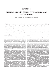 capítulo 41 epiteliectomía conjuntival sectorial secuencial