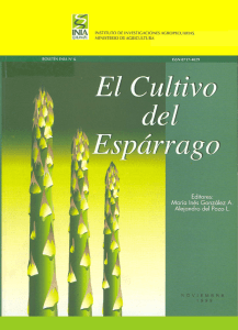 El cultivo del espárrago