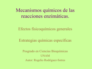 Mecanismos químicos de las reacciones enzimáticas.