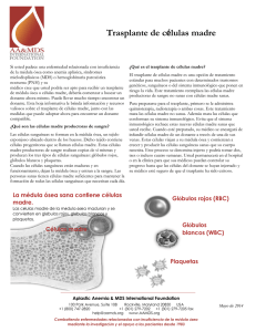 Trasplante de células madre - Aplastic Anemia and MDS