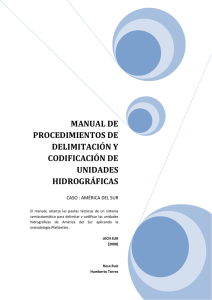 manual de procedimientos de delimitación y codificación