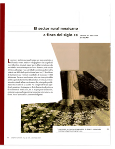 El sector rural mexicano a fines del siglo XX