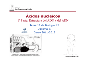 Ácidos nucleicos - Ciencias con D. Germán