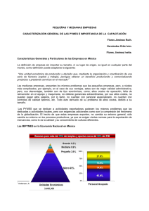 PEQUEÑAS Y MEDIANAS EMPRESAS CARACTERIZACIÓN