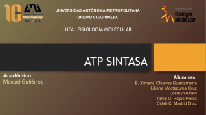 atp sintasa - WordPress.com